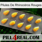 Pilules De Rhinocéros Rouges cialis1